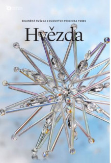 KORÁLKOVÁ STAVEBNICE - Hvězda 3D stříbrná/fialová (1ks)