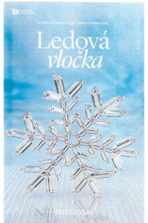 KORÁLKOVÁ STAVEBNICE - Ledová vločka (1ks)
